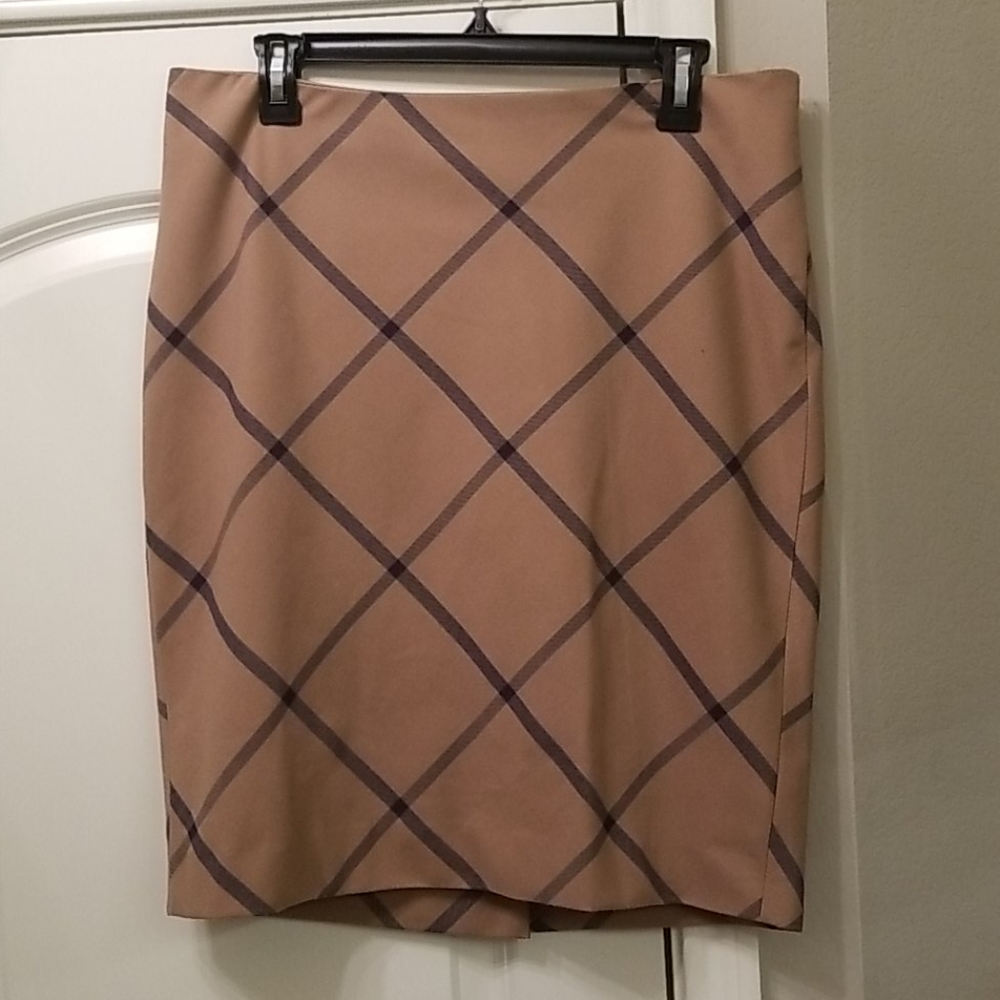 THE LIMITED | Skirt | 4066